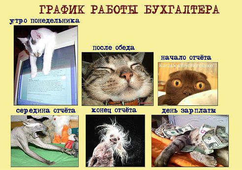 Поздравление на день бухгалтера смешные