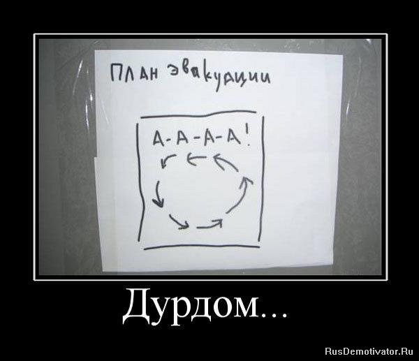 Картинка дня